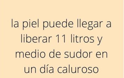 Sabías que…