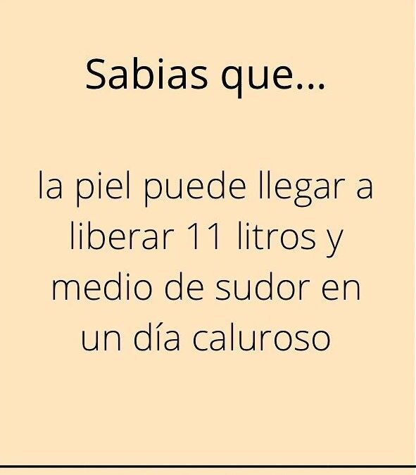 Sabías que…