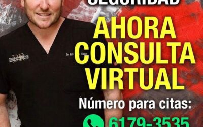 Consulta virtual