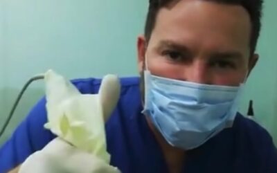 Dr Eric Rojas