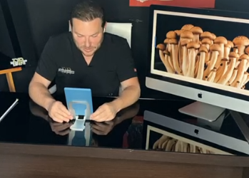 Hongos en la piel