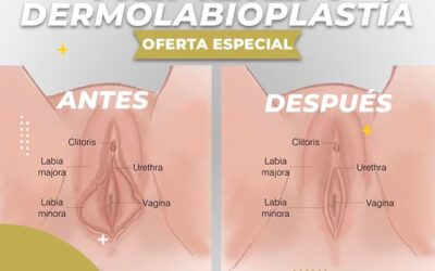 APROVECHA ESTA OFERTA.
