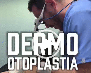 Dr. Eric Rojas